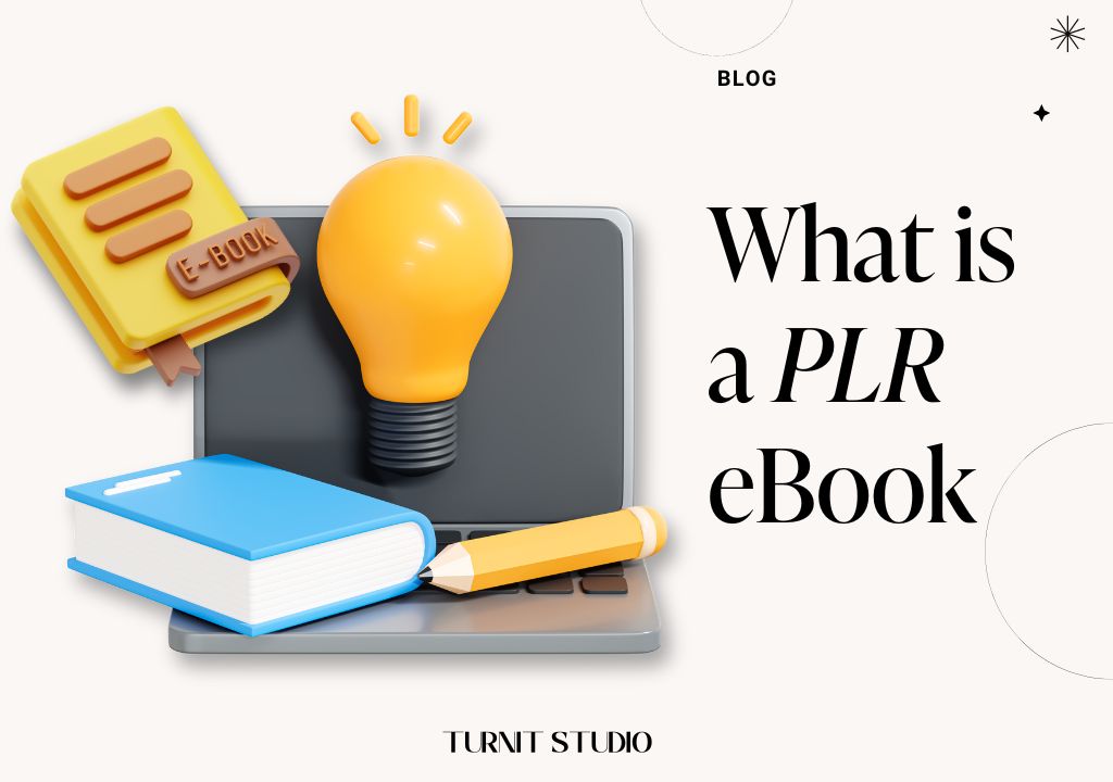 PLR eBooks