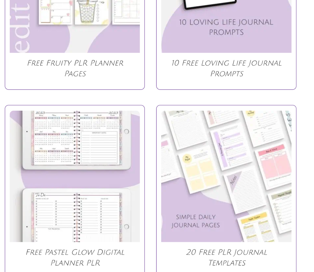 of PLR Digital Products